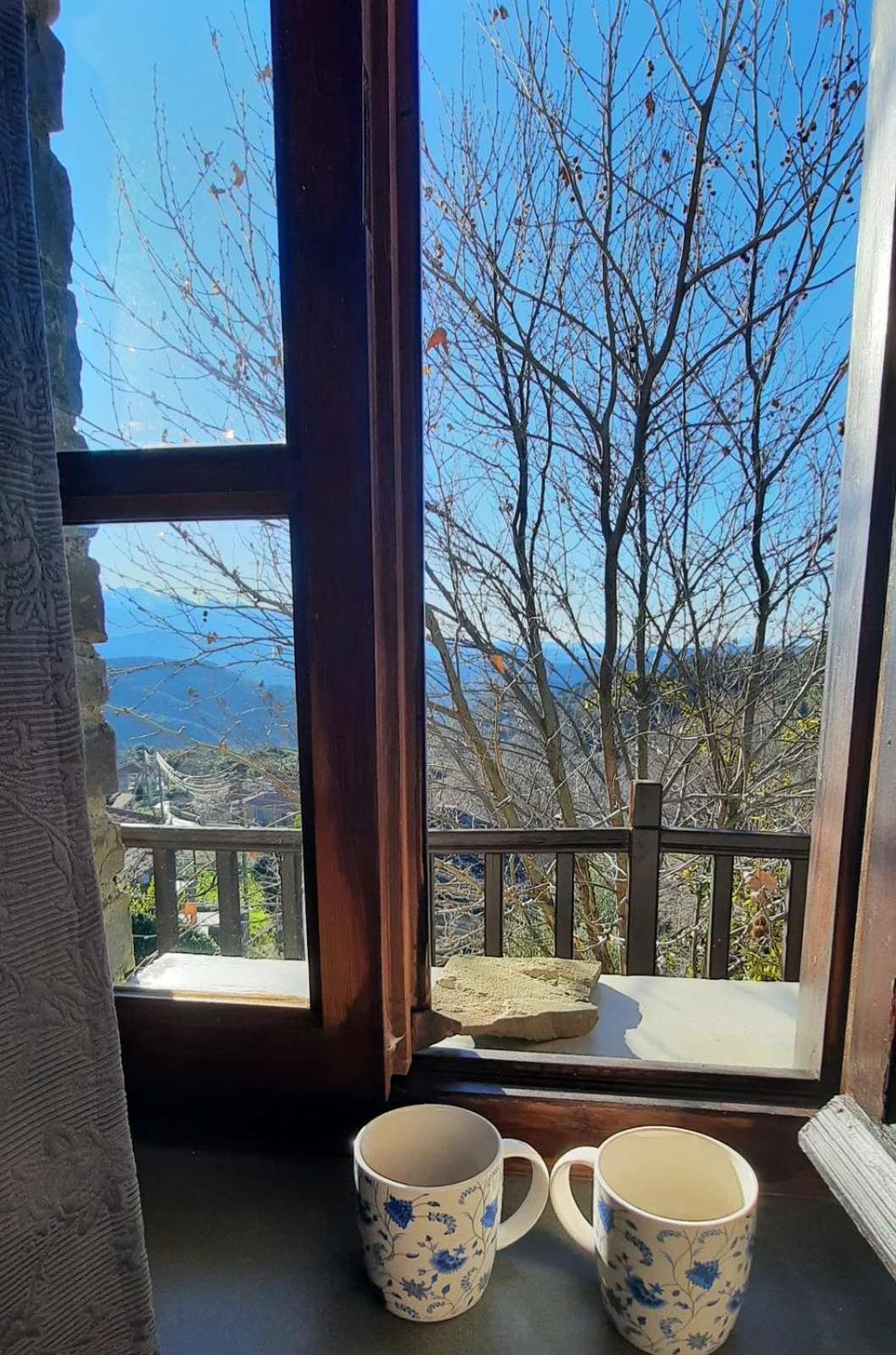 Hotel Αρχοντικό Άννα Μαρία - Βουργαρέλι Τζουμέρκα Extérieur photo